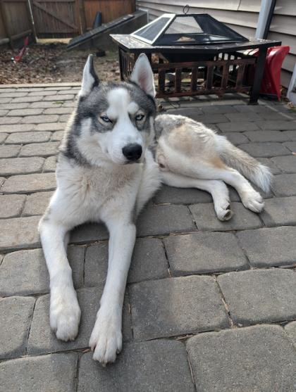 Photo of Turbo
