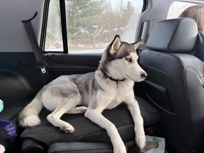 Photo of Bella